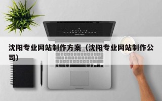 启东沈阳专业网站制作方案（沈阳专业网站制作公司）